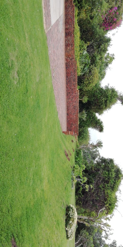 Commercial Property for Sale in Kabeljauws Eastern Cape